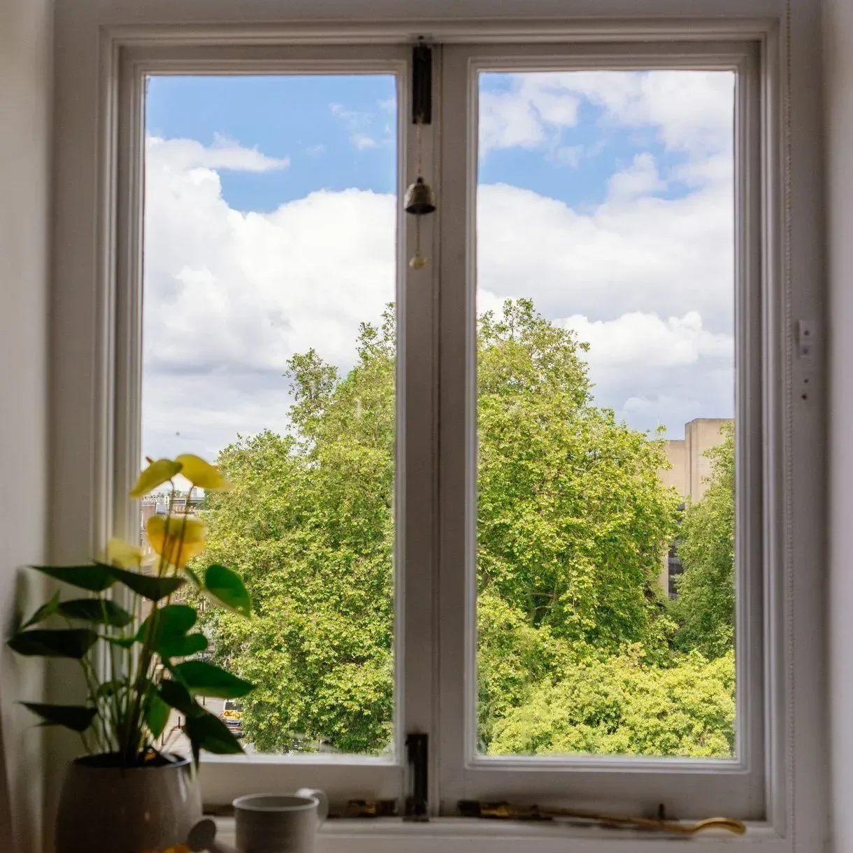 The view from the window: green trees and blue sky, with a plant on the sill